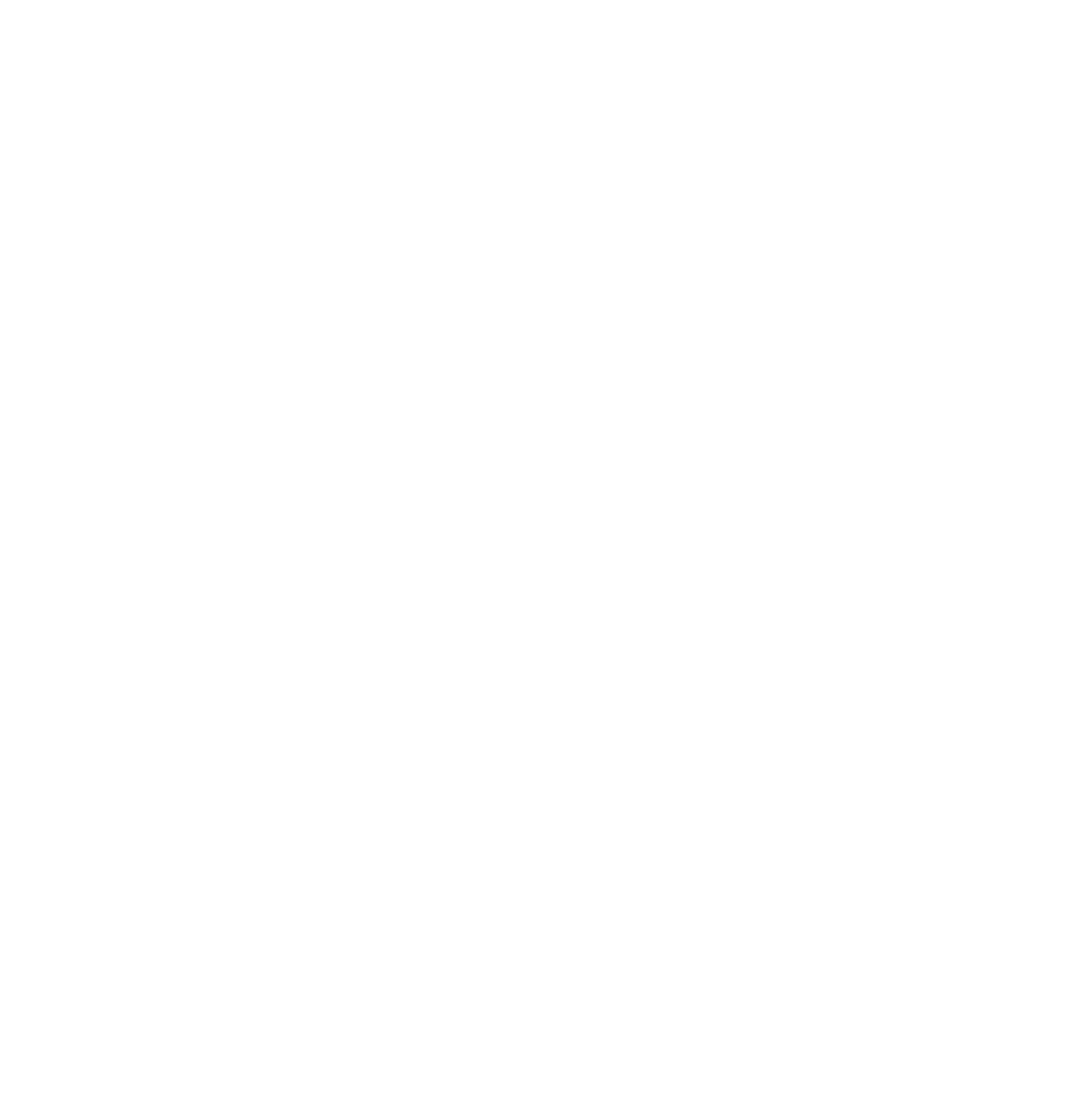 Neuroentropía